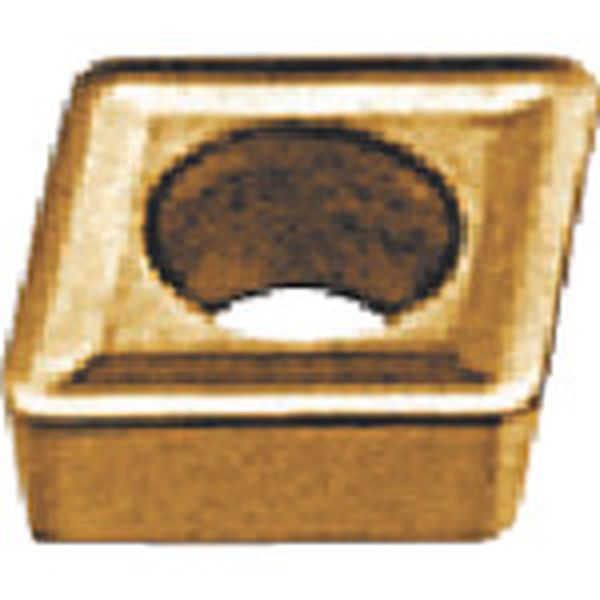 カッタ用チップ   CY250 10個入り