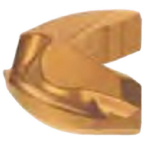 C チップ COAT 10個入り