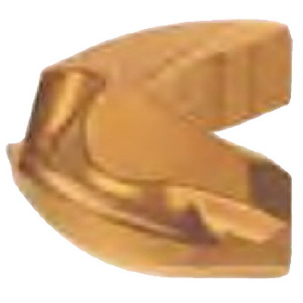 C チップ COAT 10個入り