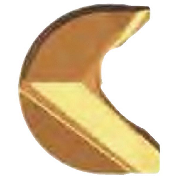 C チップ COAT 10個入り