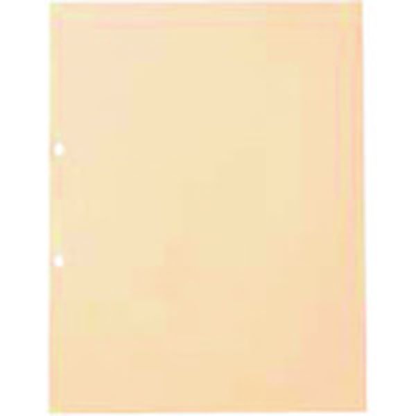 196-4836  861276)OPPクリアポケット中紙有2穴10枚