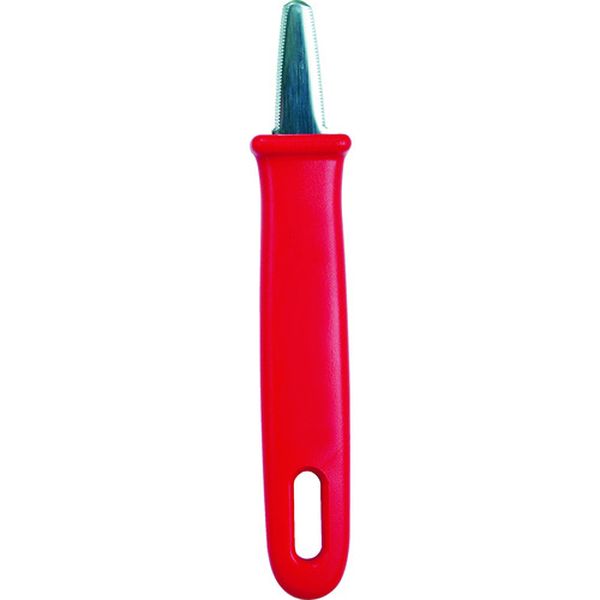 長谷川　キャナリー　開封のこ　カイちゃん　レッド