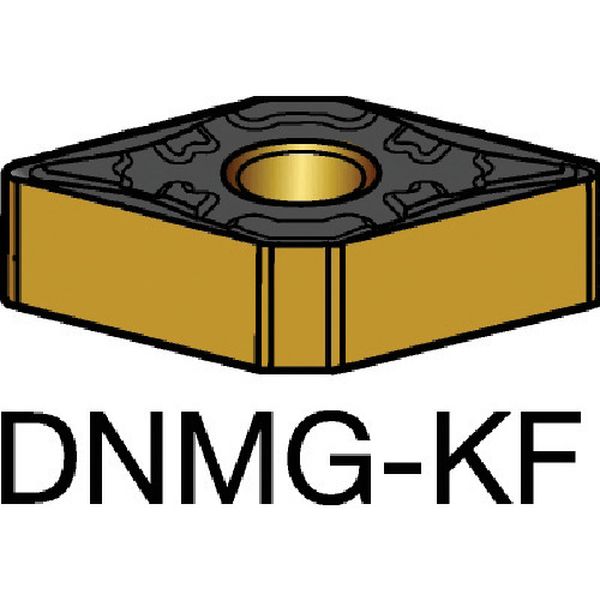 チップ COAT 10個入り