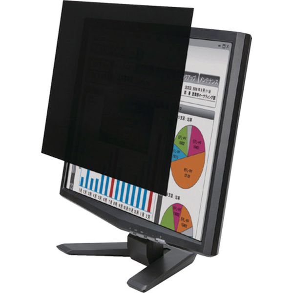 EFPFF17 123-9550  薄いのぞき見防止フィルター 17(5：4)インチ