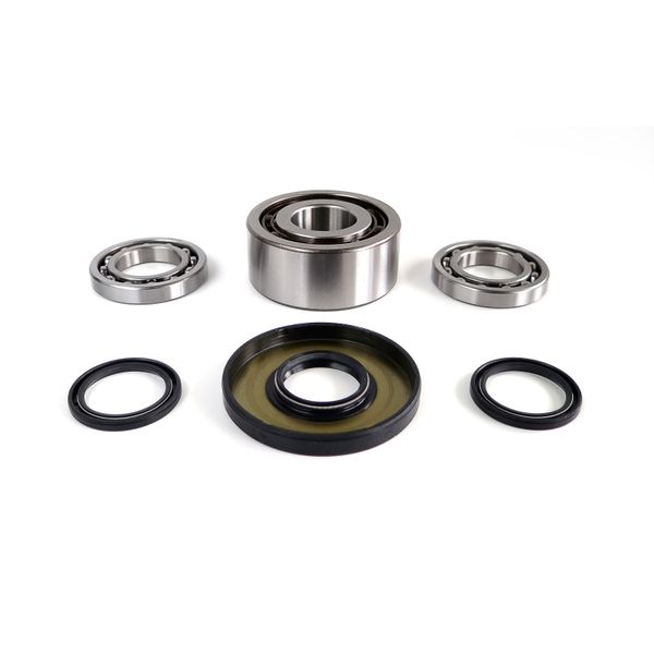 11-20 325-1000 Ace/Ranger/General/RZR Front Differential Bearing and Seal Kit
