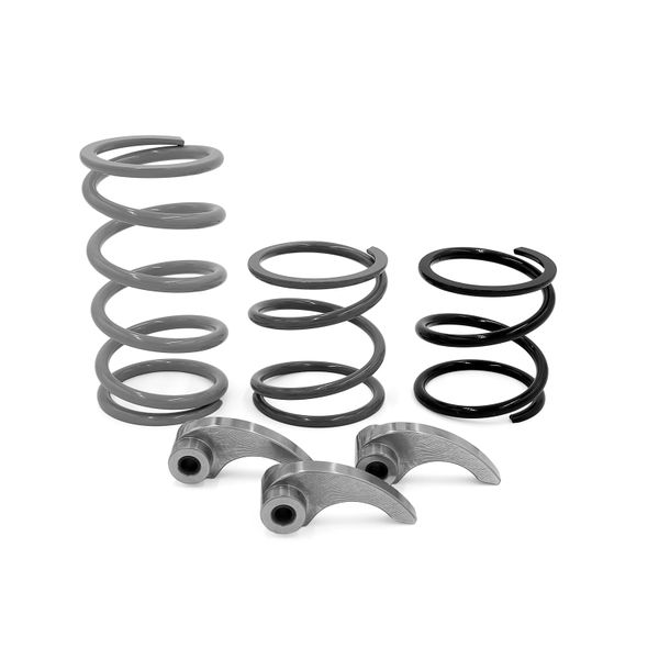 24+ Polaris 1000 RZR XP/XP 4 Mud/ Low Elevation Mudder Clutch Kit