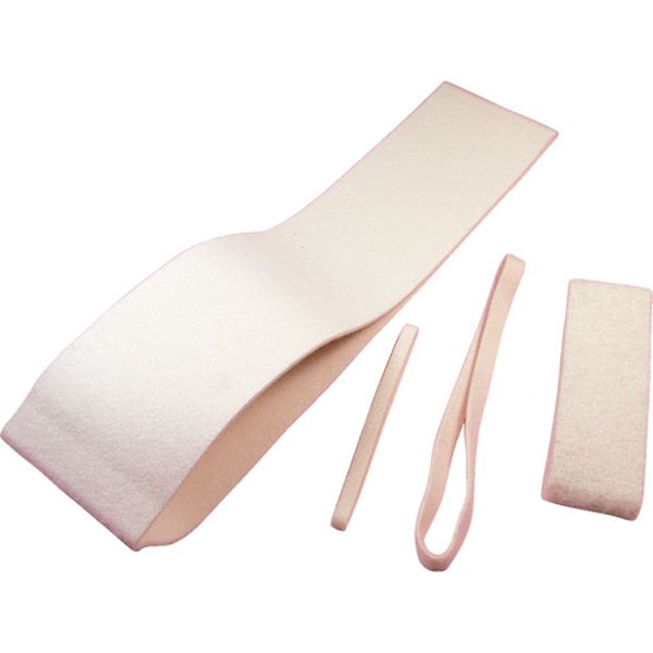 FBE100 812-4814  フェルトベルト 100X915X2.8 10本入り