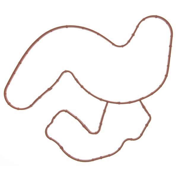 RAM 1500 Engine Water Pump Gasket