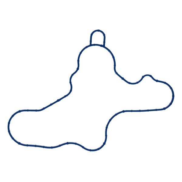 11-14 Ford F-150/11-14 Mustang Engine Water Pump Gasket