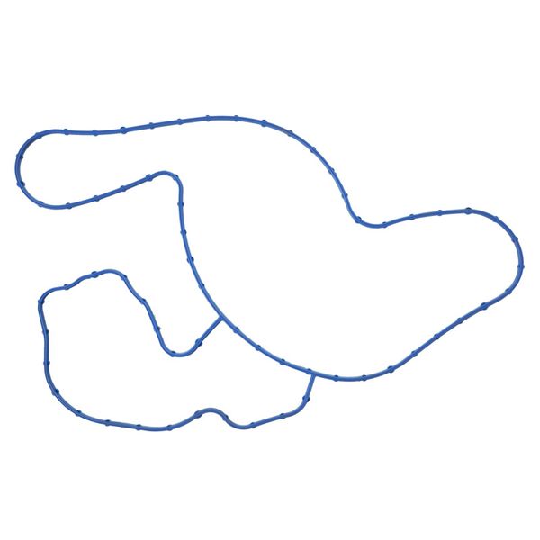 RAM 1500 Engine Water Pump Gasket