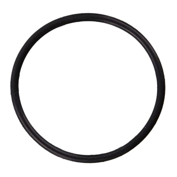 16-18 Audi RS7/18-20 SQ5/10-12 S5/15-16 S8 Multi-Purpose O-Ring