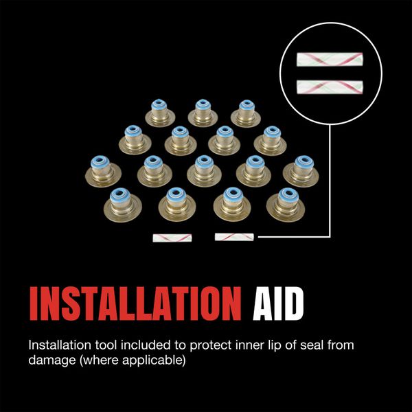 11-17 Ford F-150/Mustang 5.0L Engine Valve Stem Oil Seal Set