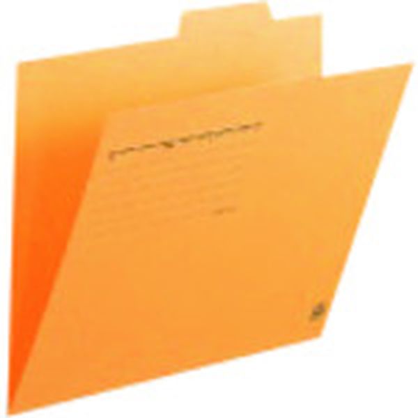 FL061IF10YL  294588)個別フォルダ- FL-061IF A4E 黄 10枚