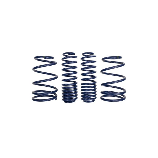 2007-2014 Mustang Shelby GT500 Springs