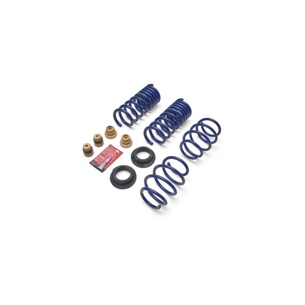 2024 Mustang 2.3L Track Lowering Spring Kit