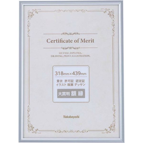 FSA106SV 668-3590  アルミ賞状額/大賞/シルバー