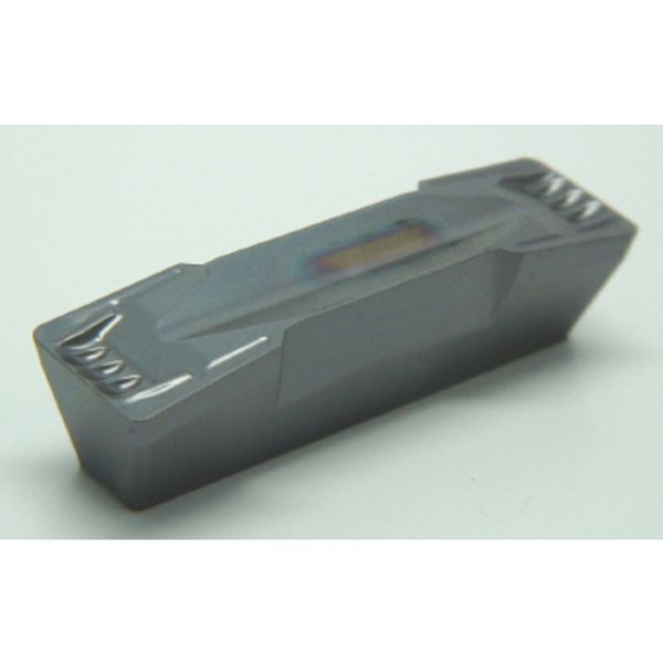 A CG多/チップ COAT 10個入り