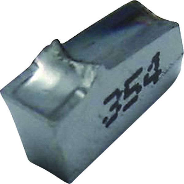 A チップ COAT 10個入り