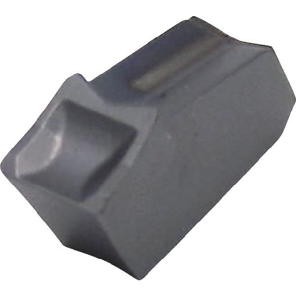 A SG突/チップ COAT 10個入り