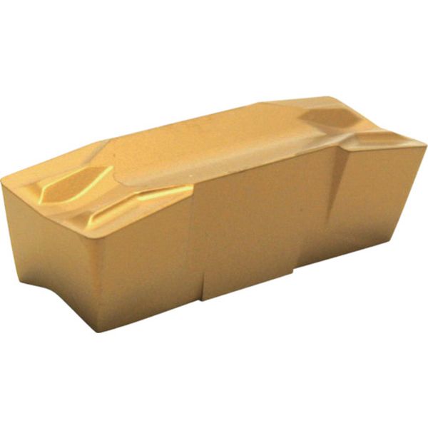 A チップ COAT 10個入り