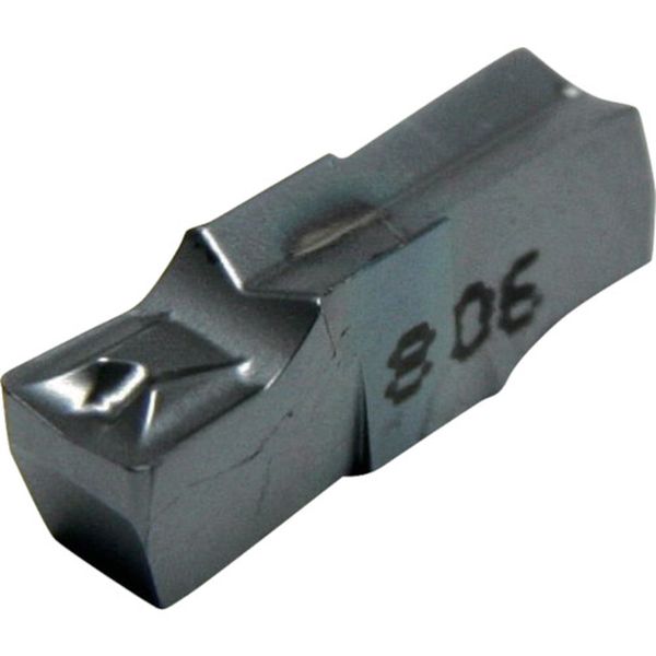 A CG多/チップ 超硬 10個入り