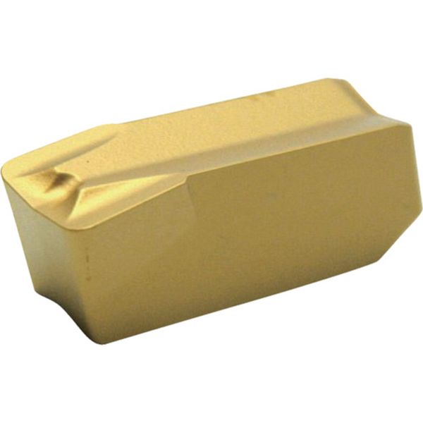 A CG多/チップ COAT 10個入り