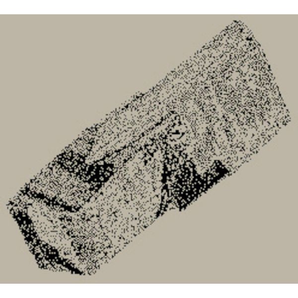 A CG多/チップ COAT 10個入り