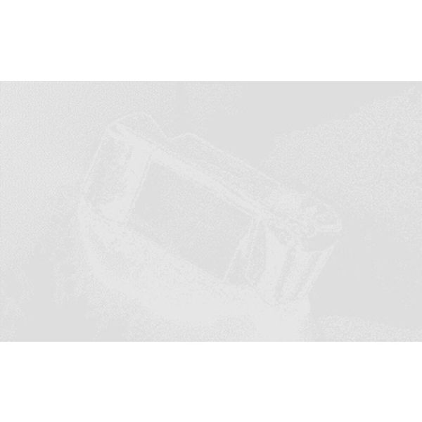 Ａ　ＣＧ多／チップ　ＣＯＡＴ