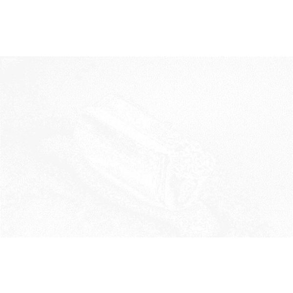 A CG多/チップ COAT 10個入り