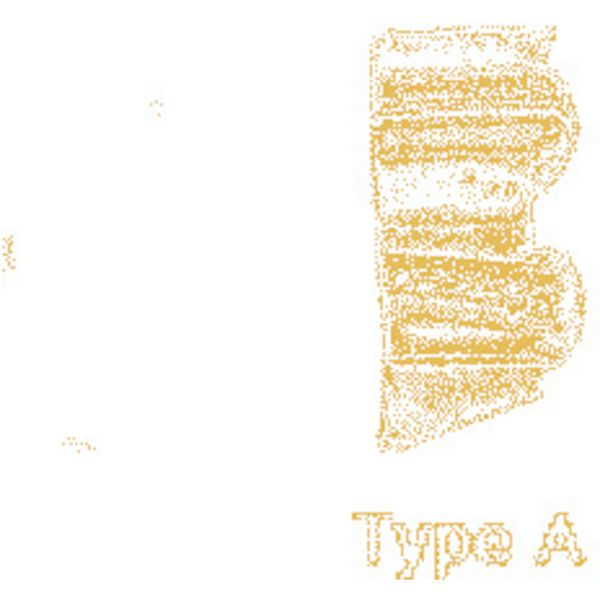 D カムグルーブ/チップ COAT 10個入り