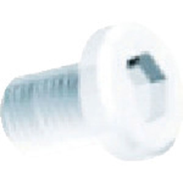 ハンチャンマン 樹脂ガイド板用ネジ