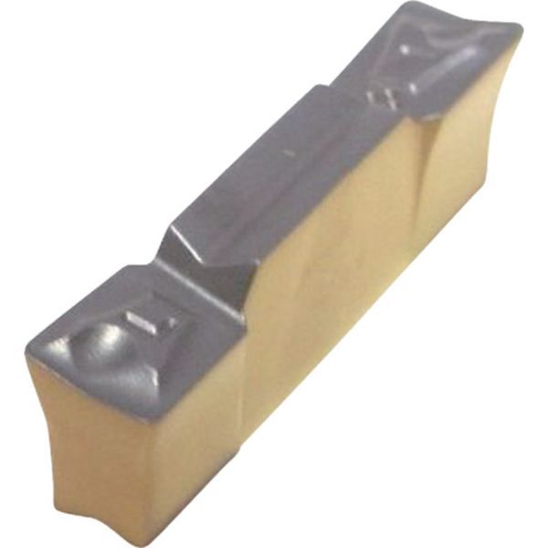 A チップ COAT 10個入り