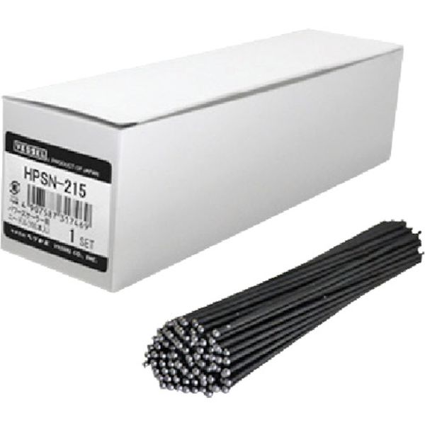 パワースケーラー用ニードル(100本入り)