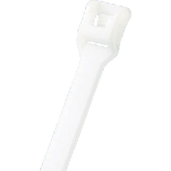 結束バンド　ベルトタイ　ナチュラル