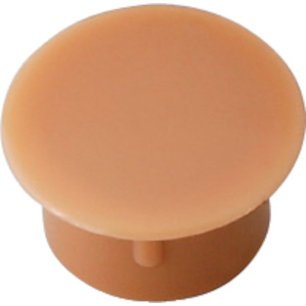 KD77265MN  (120049257)多目的穴埋めキャップ