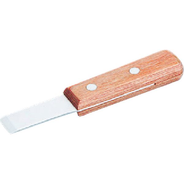 ステンレススクレーパーショート