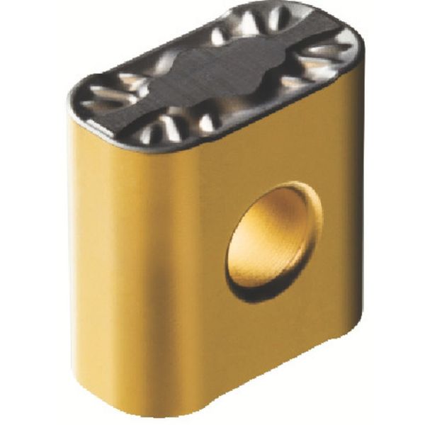 191940PM   T-MAXPチップ COAT 10個入り