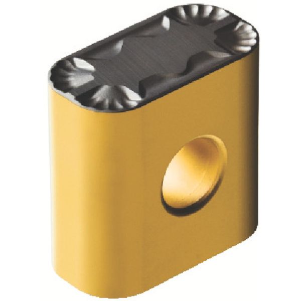 191940PF   T-MAXPチップ COAT 10個入り