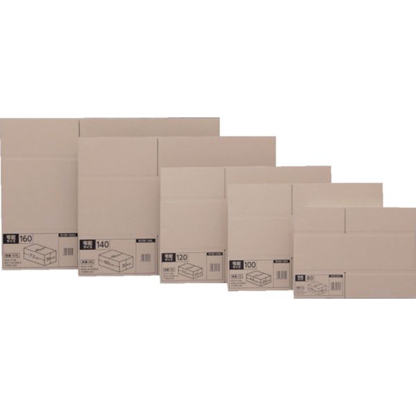 ダンボール   10個入り