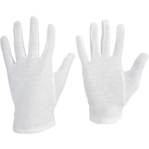 SUMUSUL   綿スムス(マチ付)12双入 L