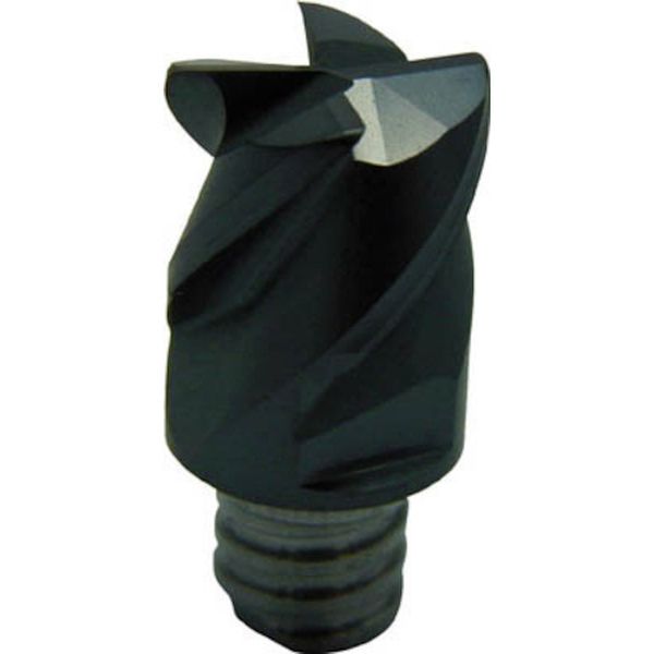 C チップ COAT 2個入り