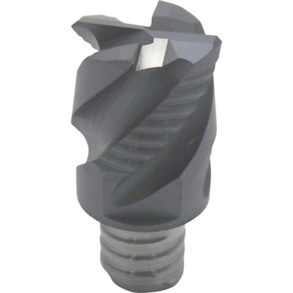 C マルチマスターチップ COAT 2個入り