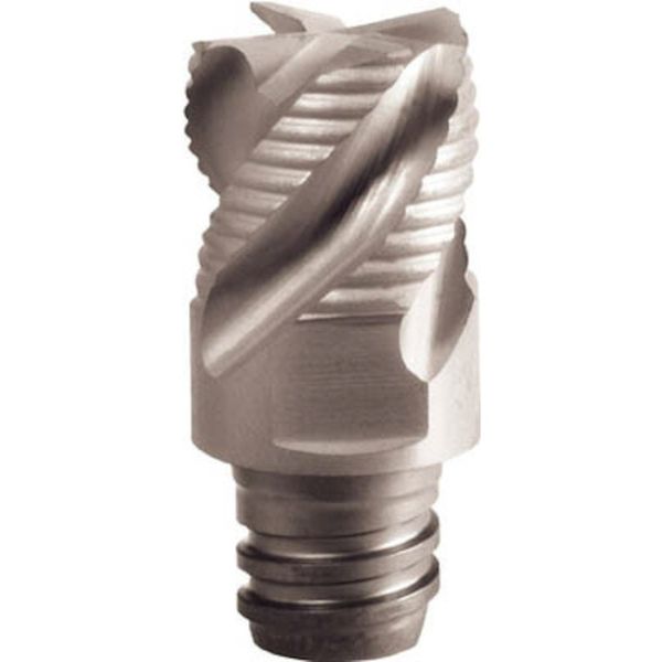 C マルチマスター交換用ヘッド4枚刃 COAT 2個入り