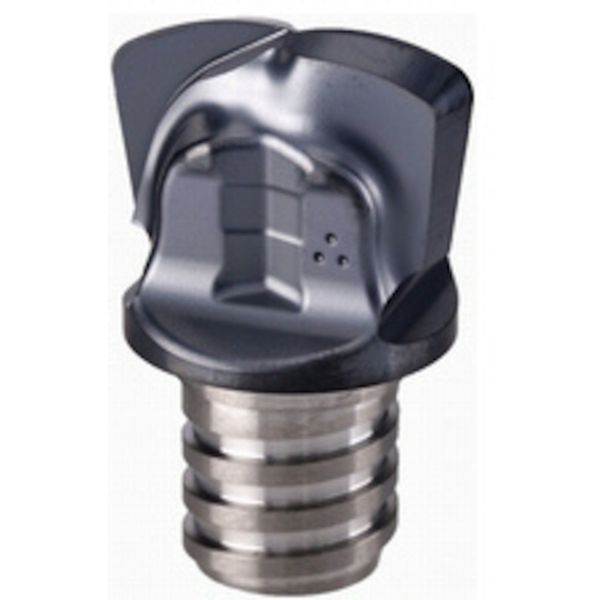 C マルチマスターチップ COAT 2個入り