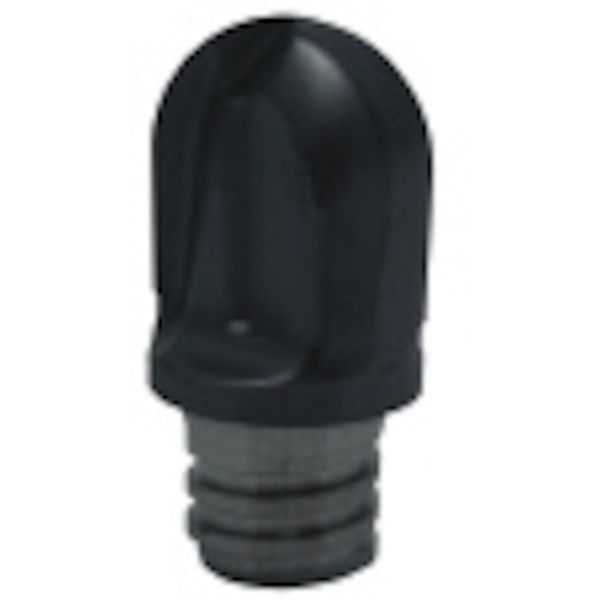 C チップ COAT 2個入り