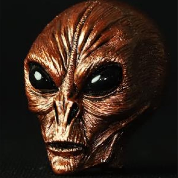 AREA51 ビッグバルブキャップ  Jupiter