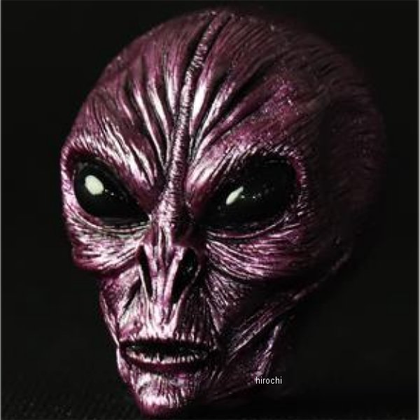 AREA51 ビッグバルブキャップ  M31Andromeda