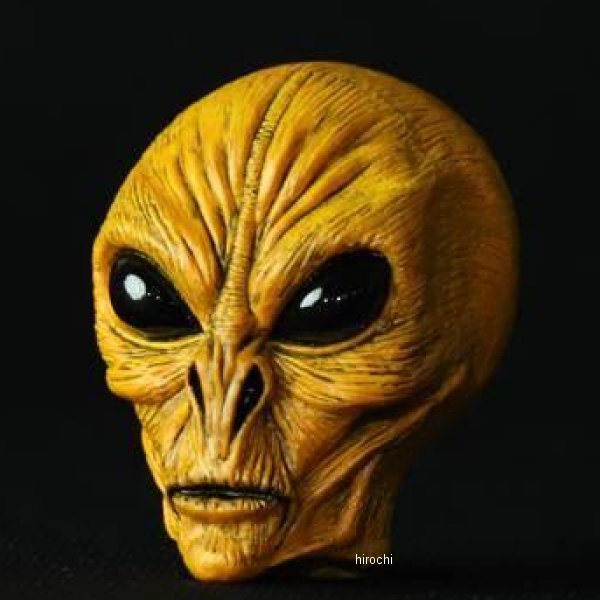 AREA51 ビッグバルブキャップ  Saturn