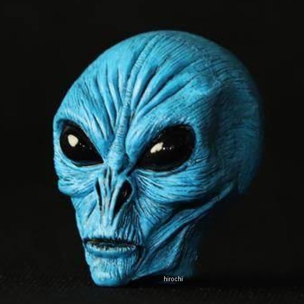 AREA51 ビッグバルブキャップ  Neptune