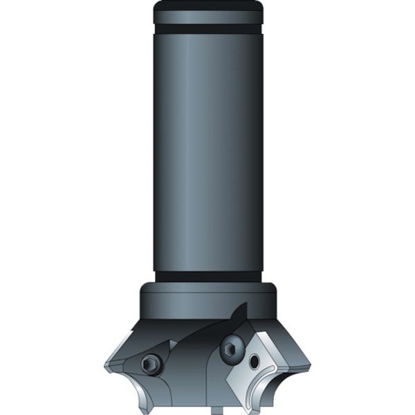 Rヌーボー シャンクφ32